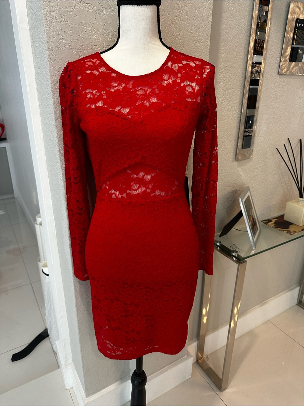 Express Red Lace Long Sleeve Backless Bodycon Dress